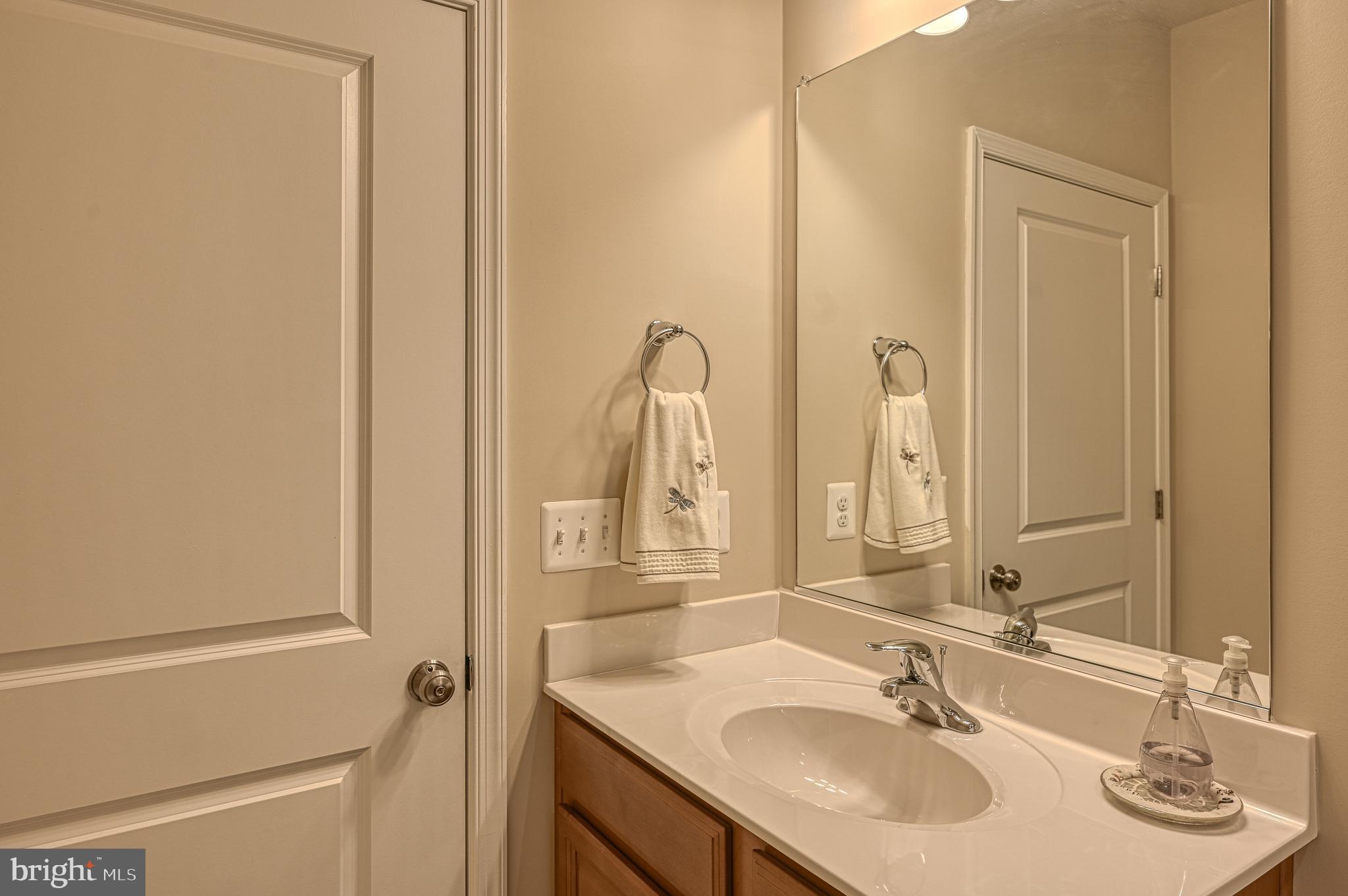 481 Sunset Loop Mineral, VA 23117 - Photo 60 of 87 Lower Level Bathroom #4