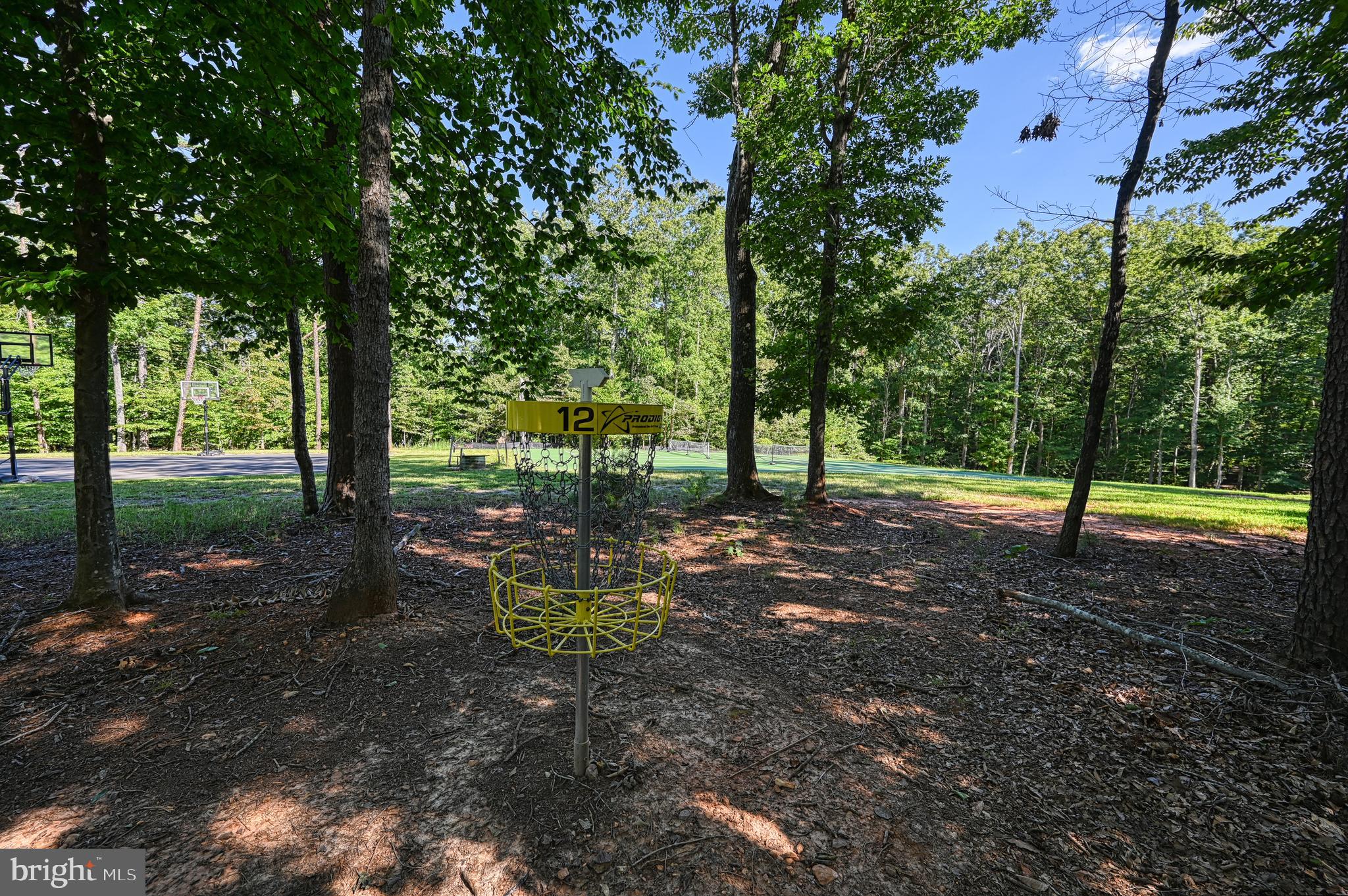 481 Sunset Loop Mineral, VA 23117 - Photo 79 of 87 Disc Golf