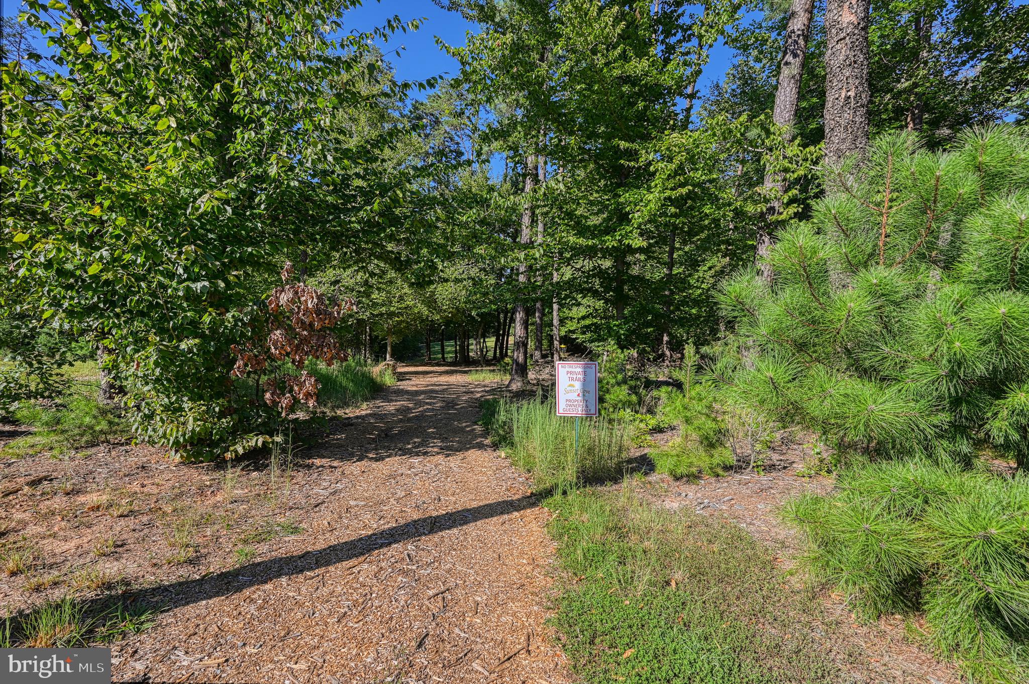 481 Sunset Loop Mineral, VA 23117 - Photo 82 of 87 Walking Trails