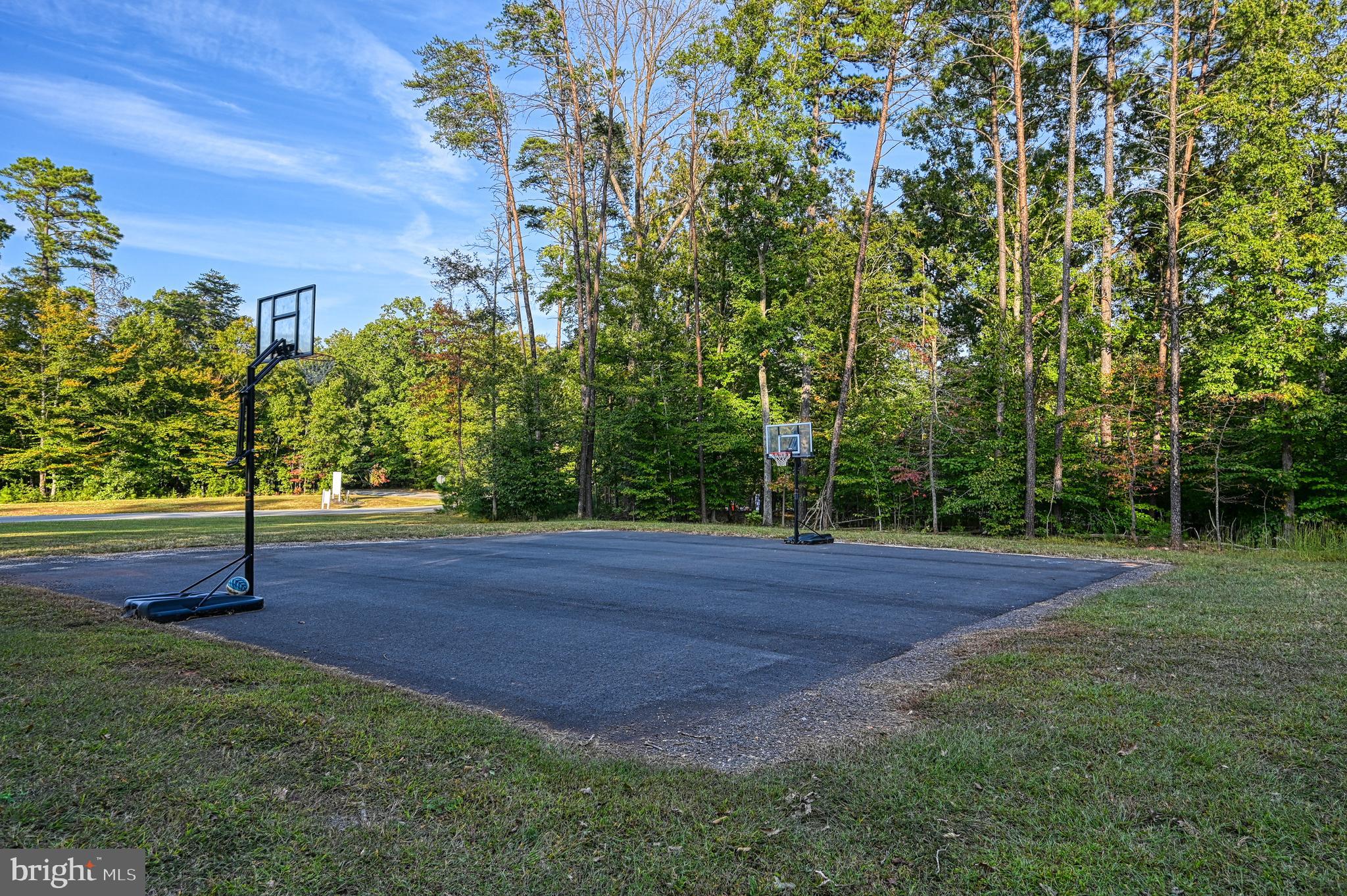 481 Sunset Loop Mineral, VA 23117 - Photo 84 of 87 Basketball Court