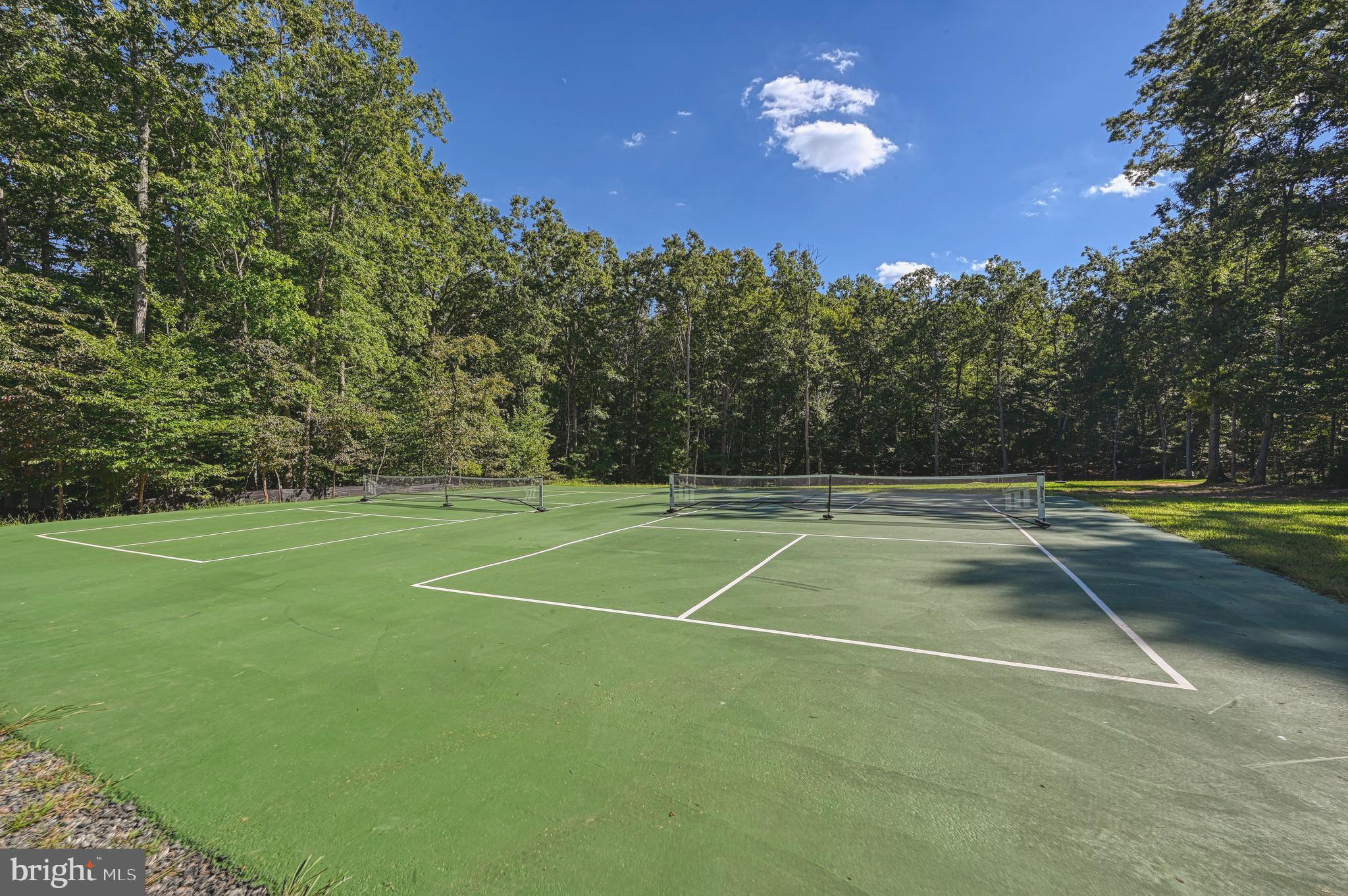 481 Sunset Loop Mineral, VA 23117 - Photo 85 of 87 Pickleball Court