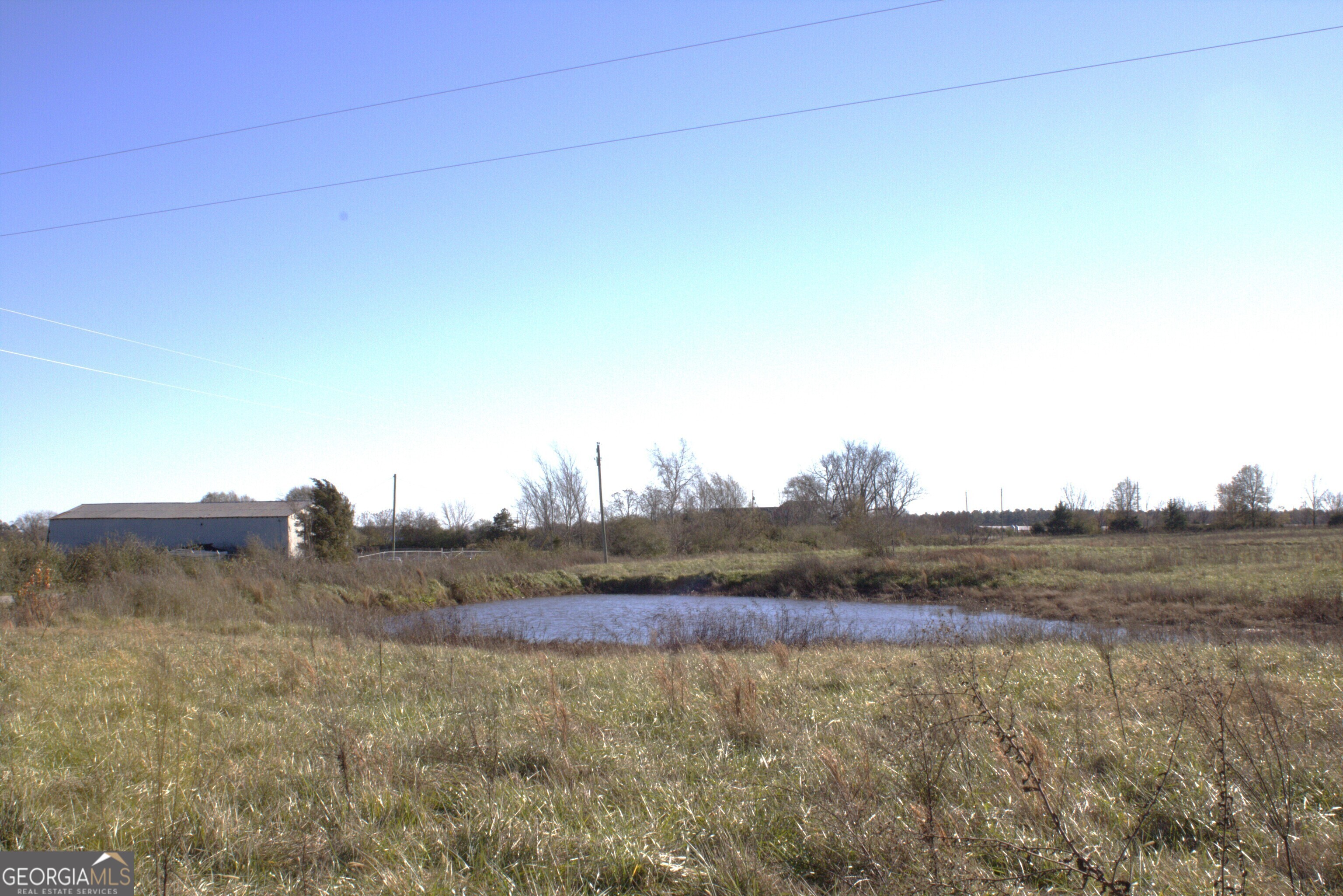 Tract 4 Seed Cleaner Hartwell, GA 30643 - Photo 7 of 10 a view of a dry field with trees in background
