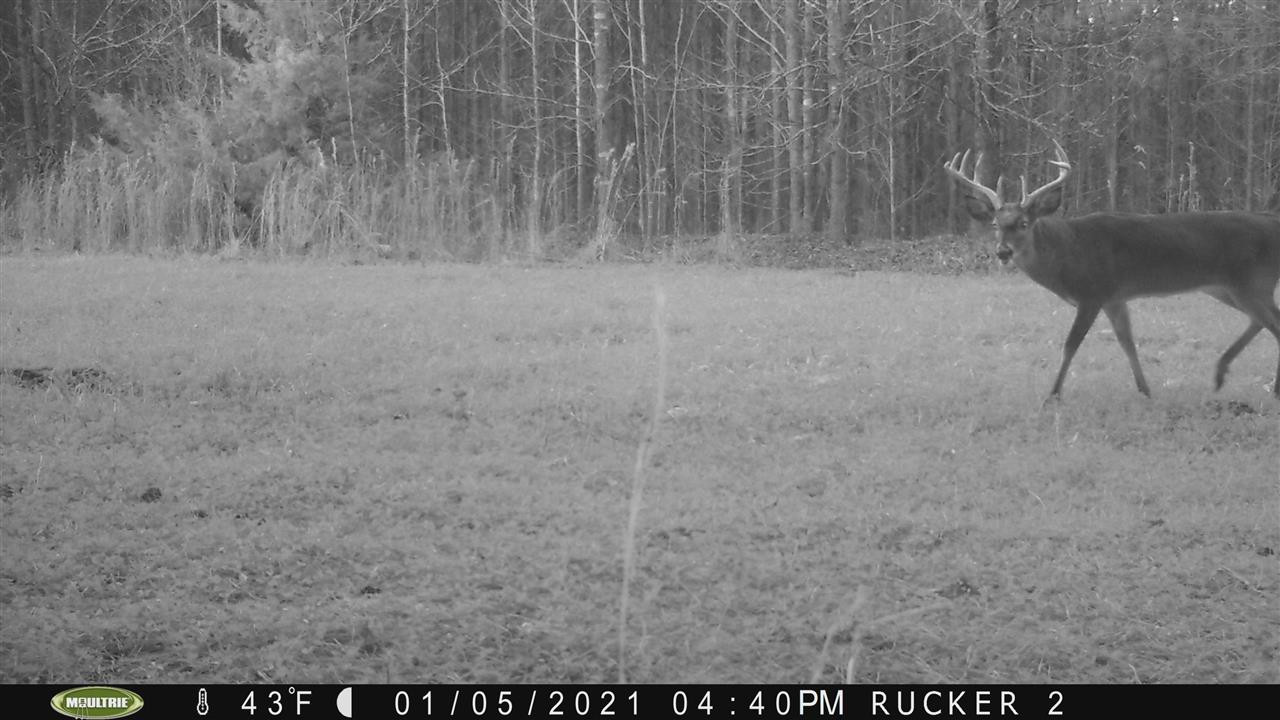 1 Gordon Road Vaughan, MS 39179 - Photo 16 of 36 Photo 16