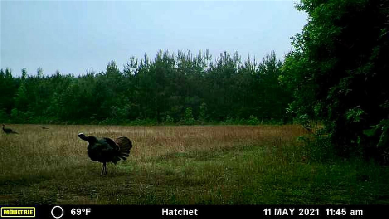1 Gordon Road Vaughan, MS 39179 - Photo 19 of 36 Photo 19