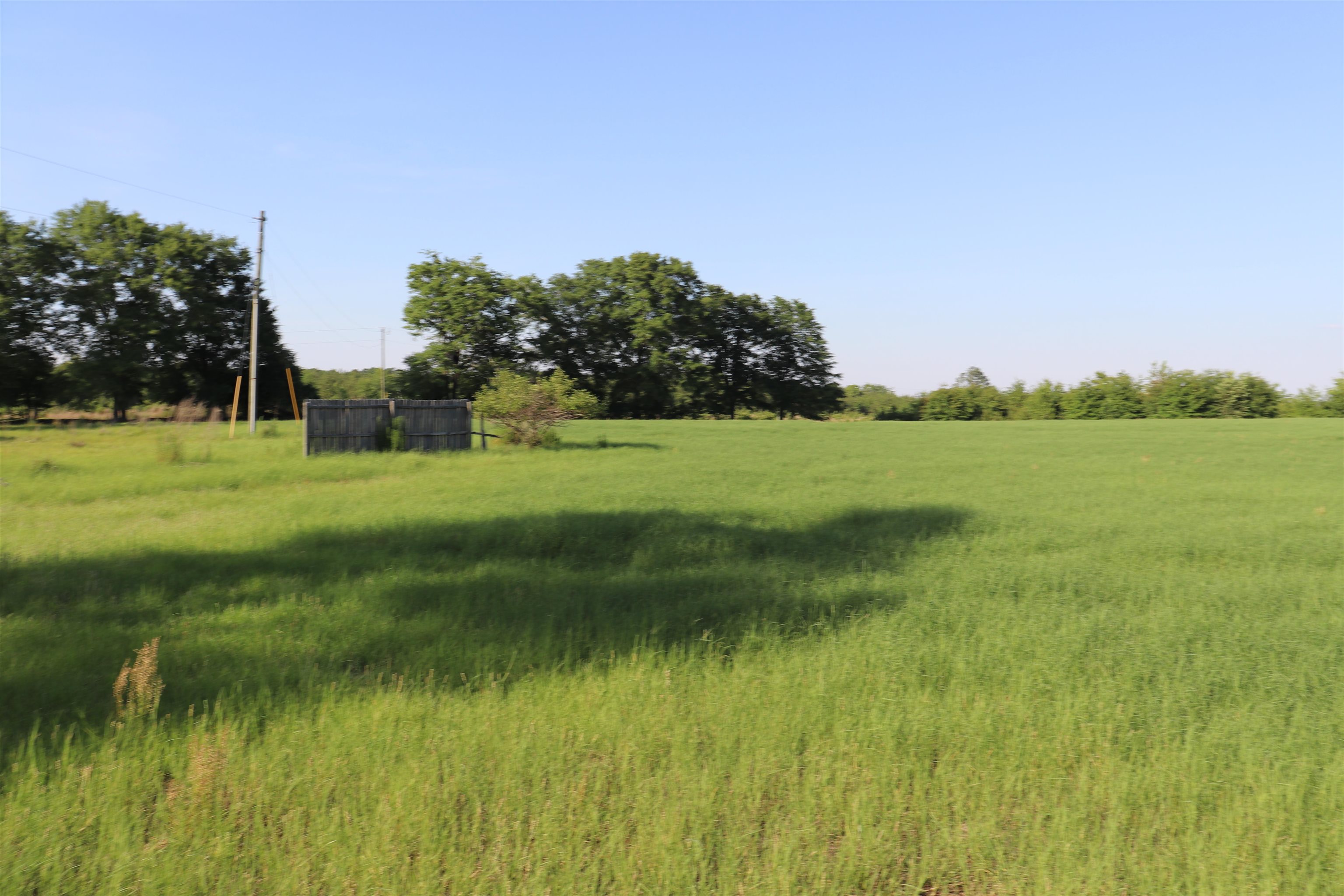 2631 Charlie Johnson Road Bethune, SC 29009 - Photo 11 of 29