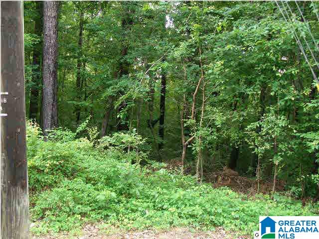 3646 Veona Daniels Road, Unit 3646 Birmingham, AL 35216 - Photo 1 of 2