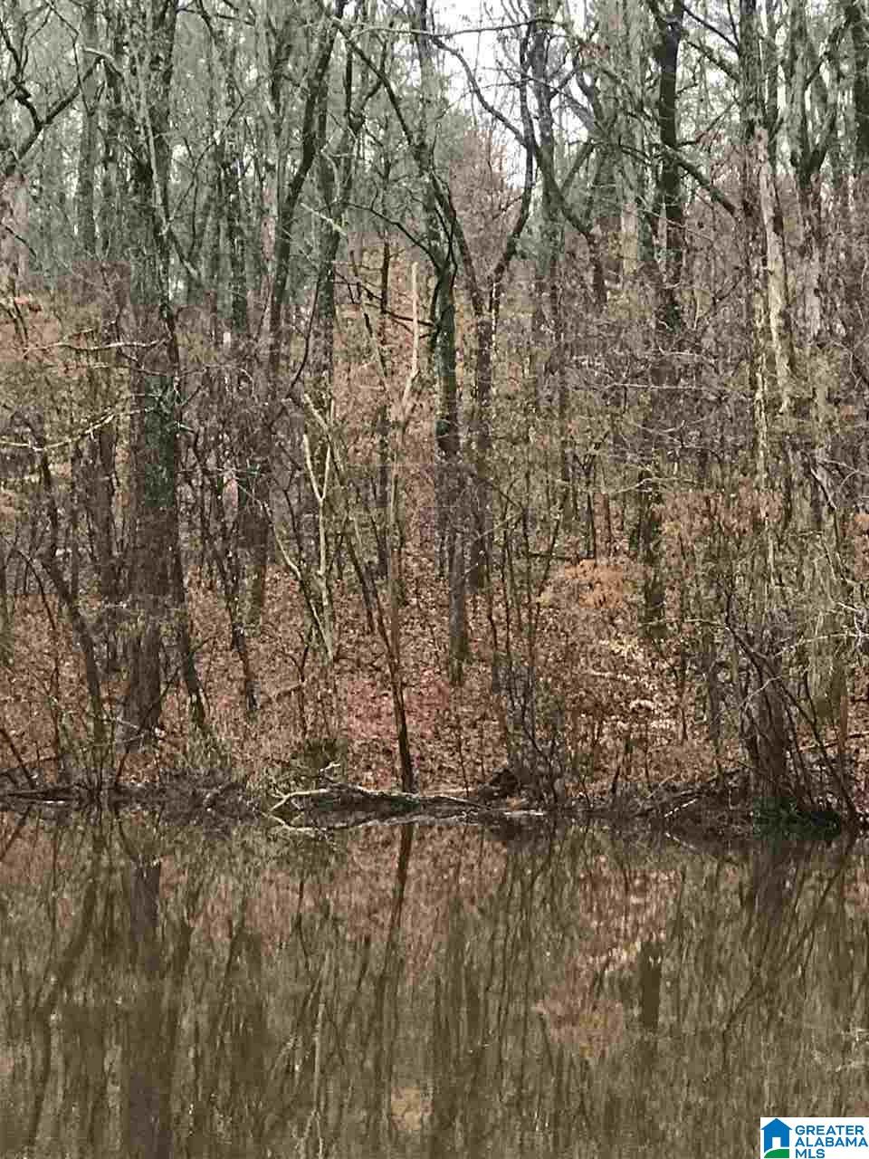 0 Maddox Road, Unit 1 Pell City, AL 35125 - Photo 8 of 10