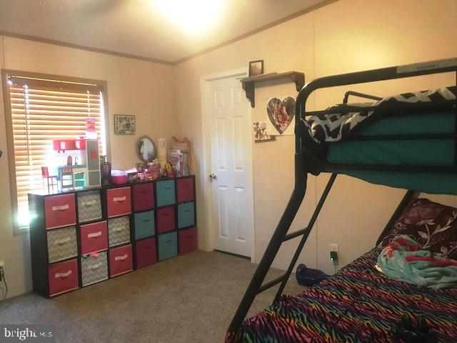 26761 Mt Vernon Road Princess Anne, MD 21853 - Photo 14 of 16 Gallery Image 14