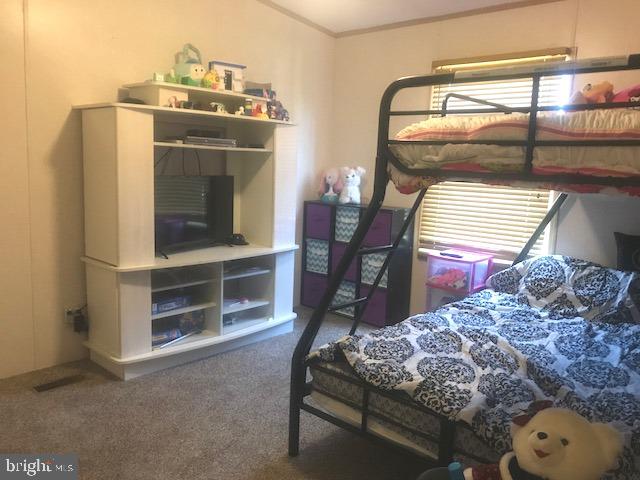 26761 Mt Vernon Road Princess Anne, MD 21853 - Photo 15 of 16 Gallery Image 15