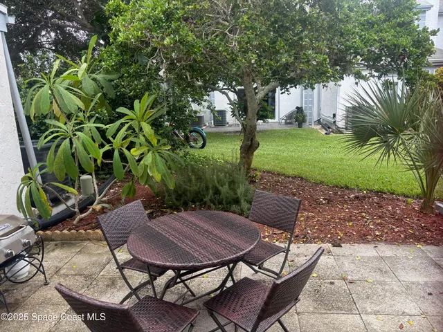 a view of a field of grass and palm trees