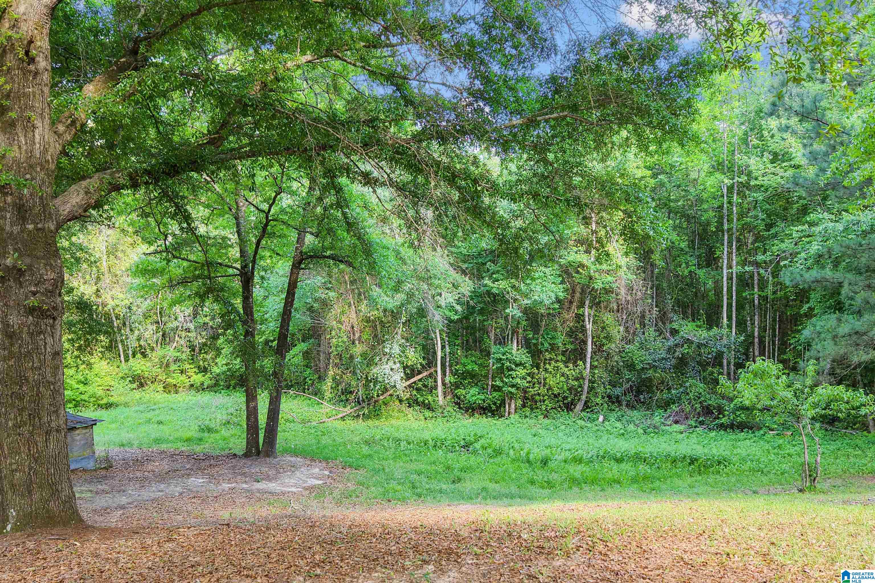 15038 Northside Road Northport, AL 35475 - Photo 38 of 62