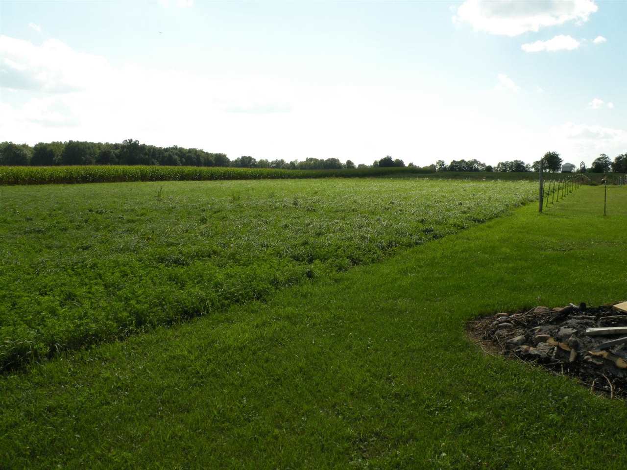 7580 Welter Road Ovid, MI 48866 - Photo 11 of 28 50053656-10.JPG