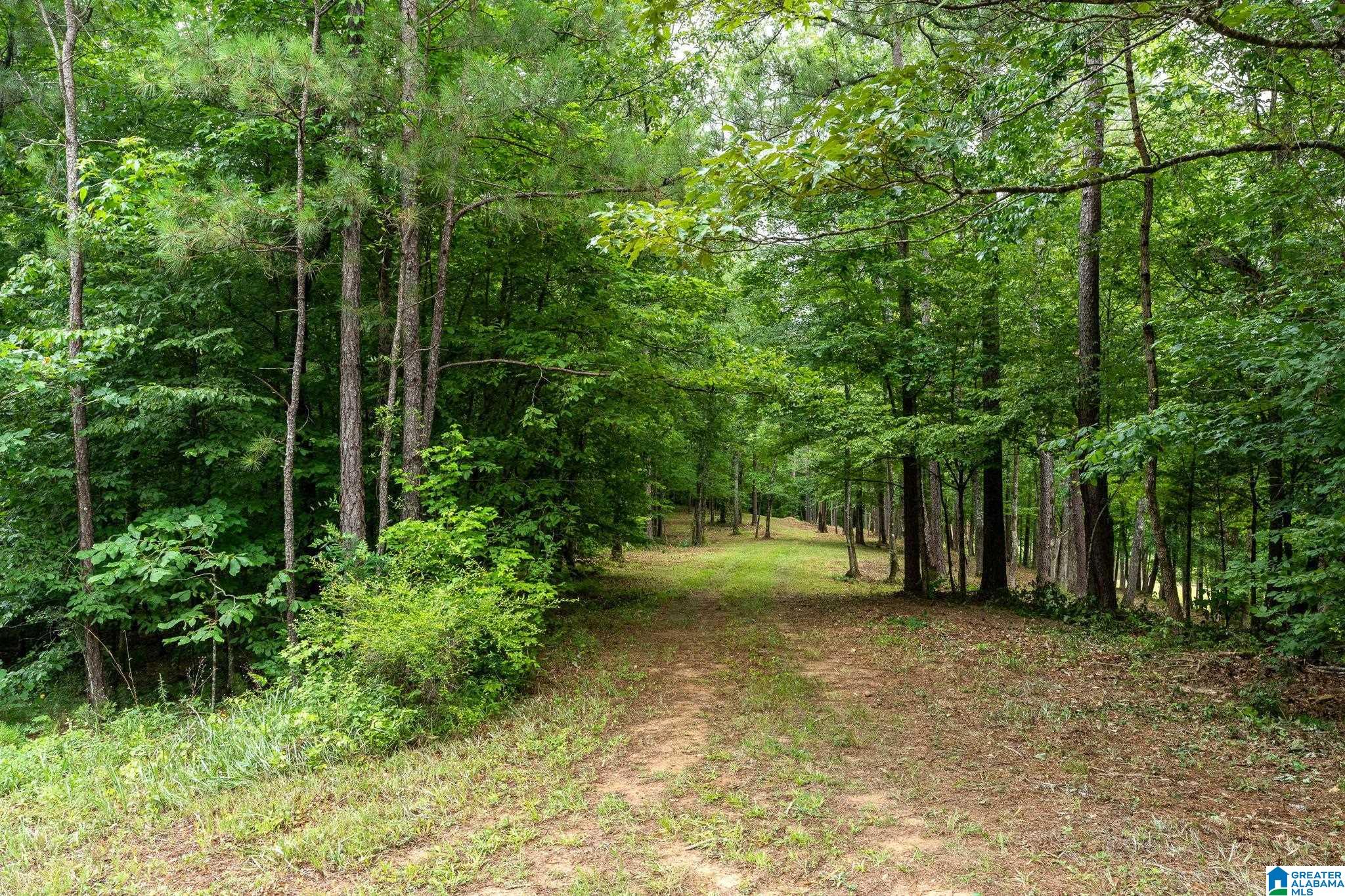 174 Martin Lane, Unit 1A Helena, AL 35080 - Photo 3 of 19