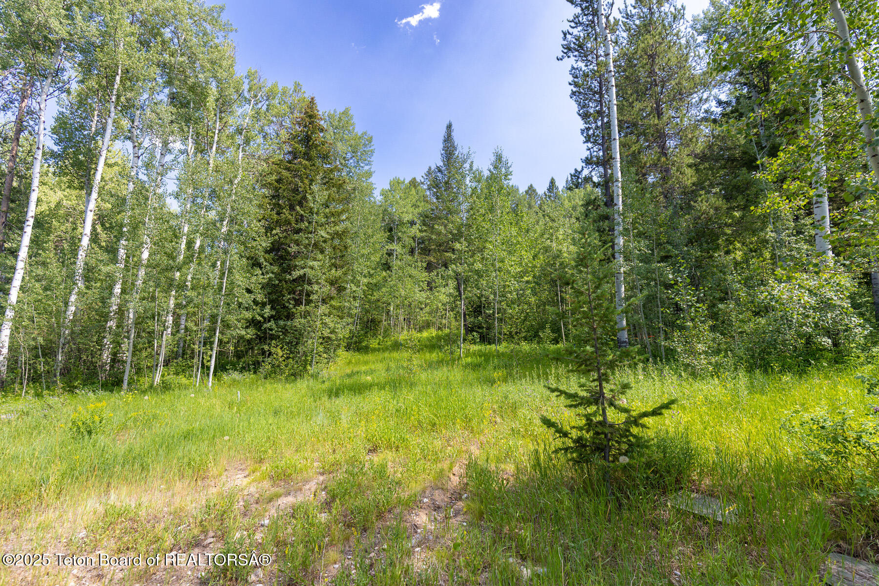 2 Blackfoot Trail Victor, ID 83455 - Photo 6 of 10 6 Building Site
