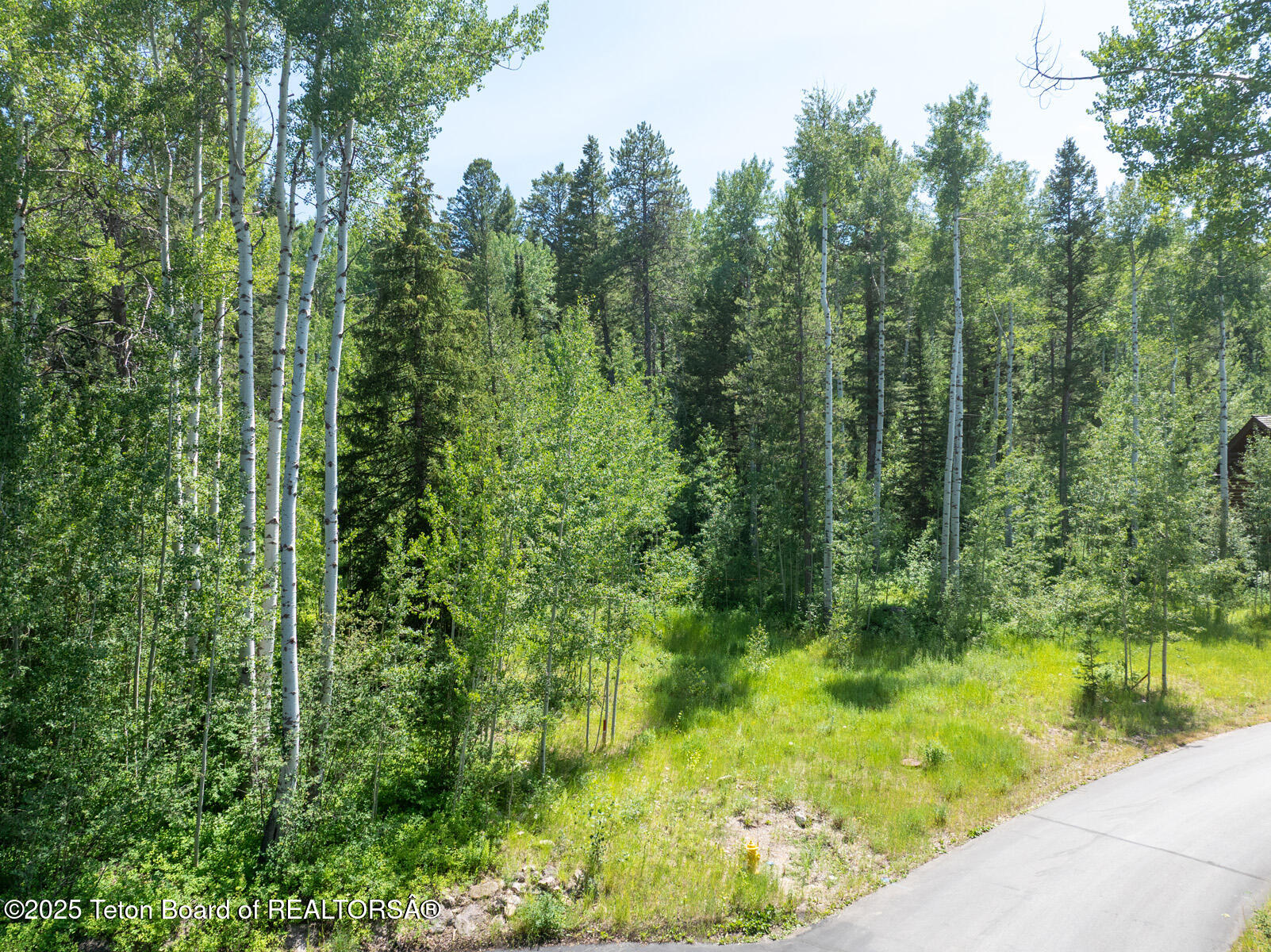 2 Blackfoot Trail Victor, ID 83455 - Photo 7 of 10 7 Building Site Aspens