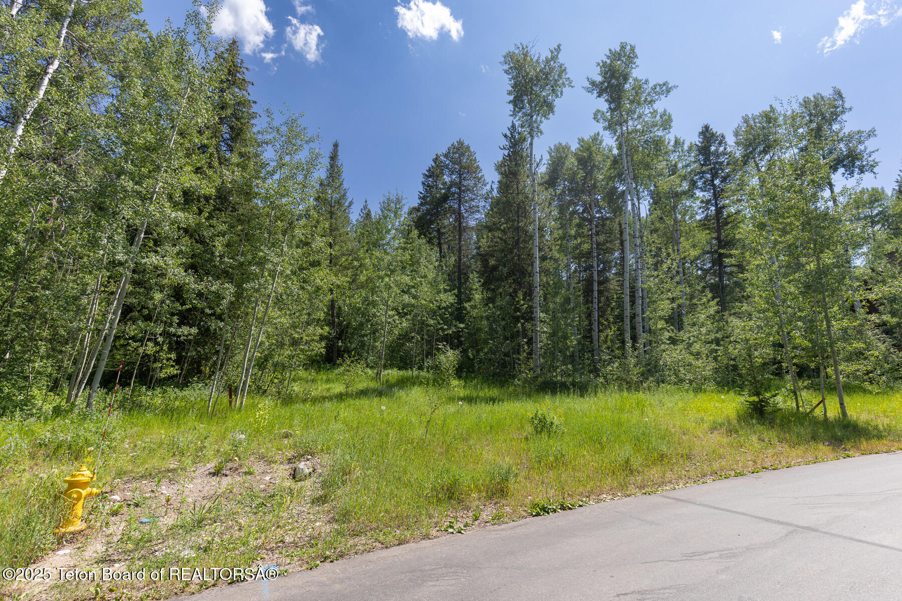 2 Blackfoot Trail Victor, ID 83455 - Photo 9 of 10 9 Street View
