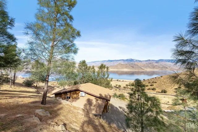 a picture of flowers