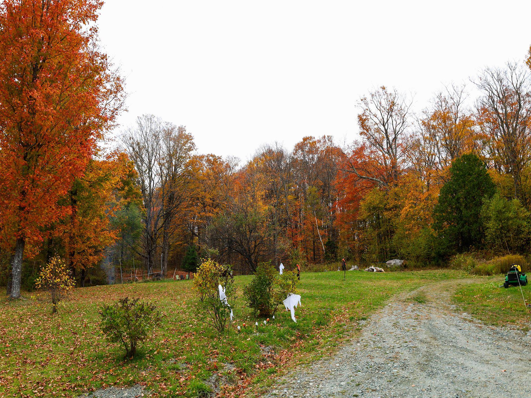 412 Clark Road Glover, VT 05839 - Photo 7 of 33