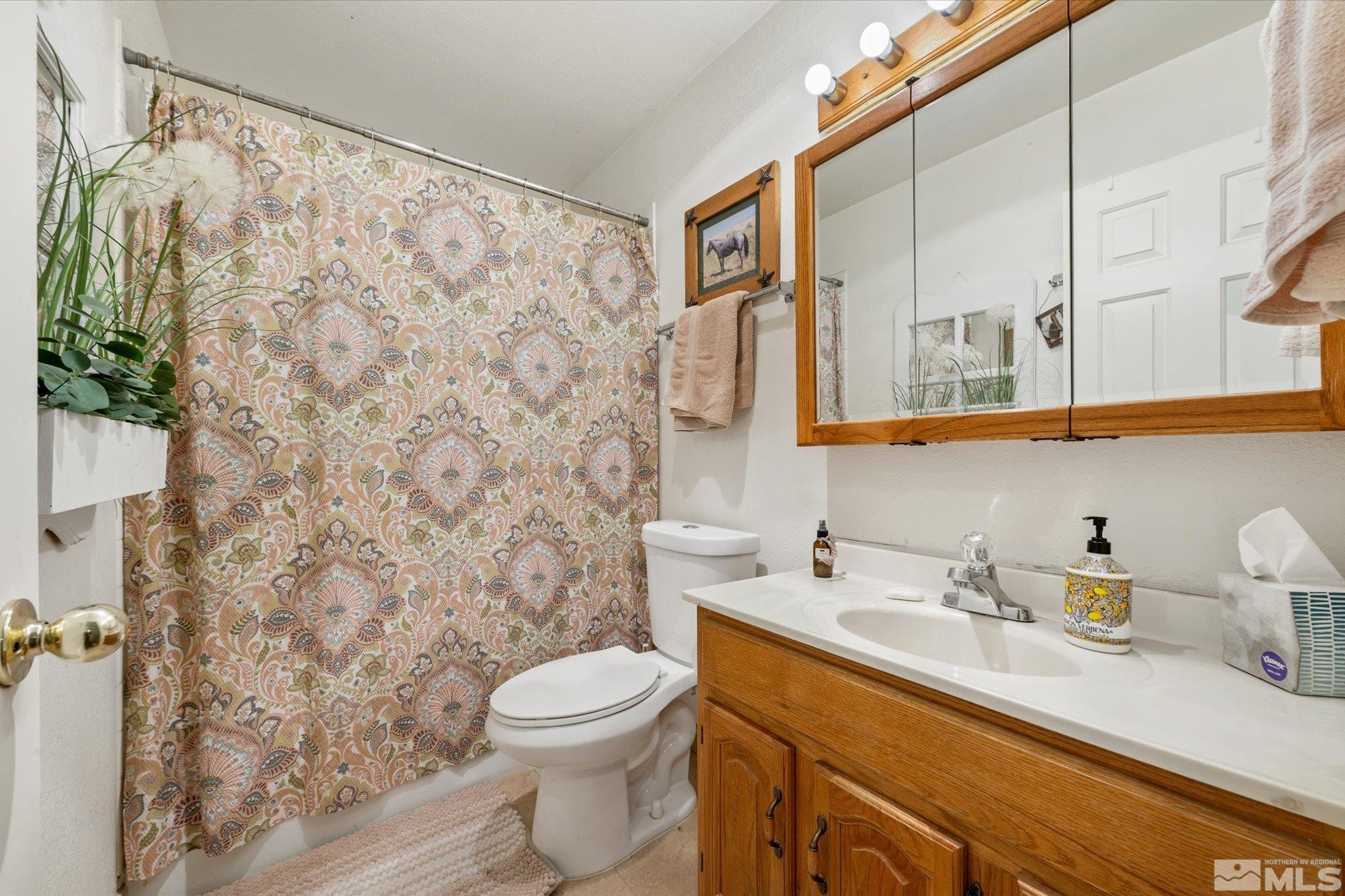 16300 Pyramid Way Reno, NV 89510 - Photo 27 of 36 a bathroom with a sink and a toilet