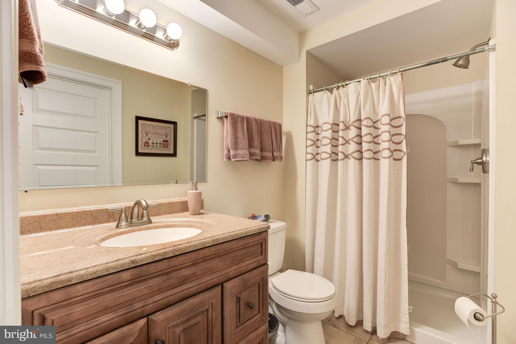 8818 Yellow Springs Road Frederick, MD 21702 - Photo 38 of 73 Lower Level Full Bath