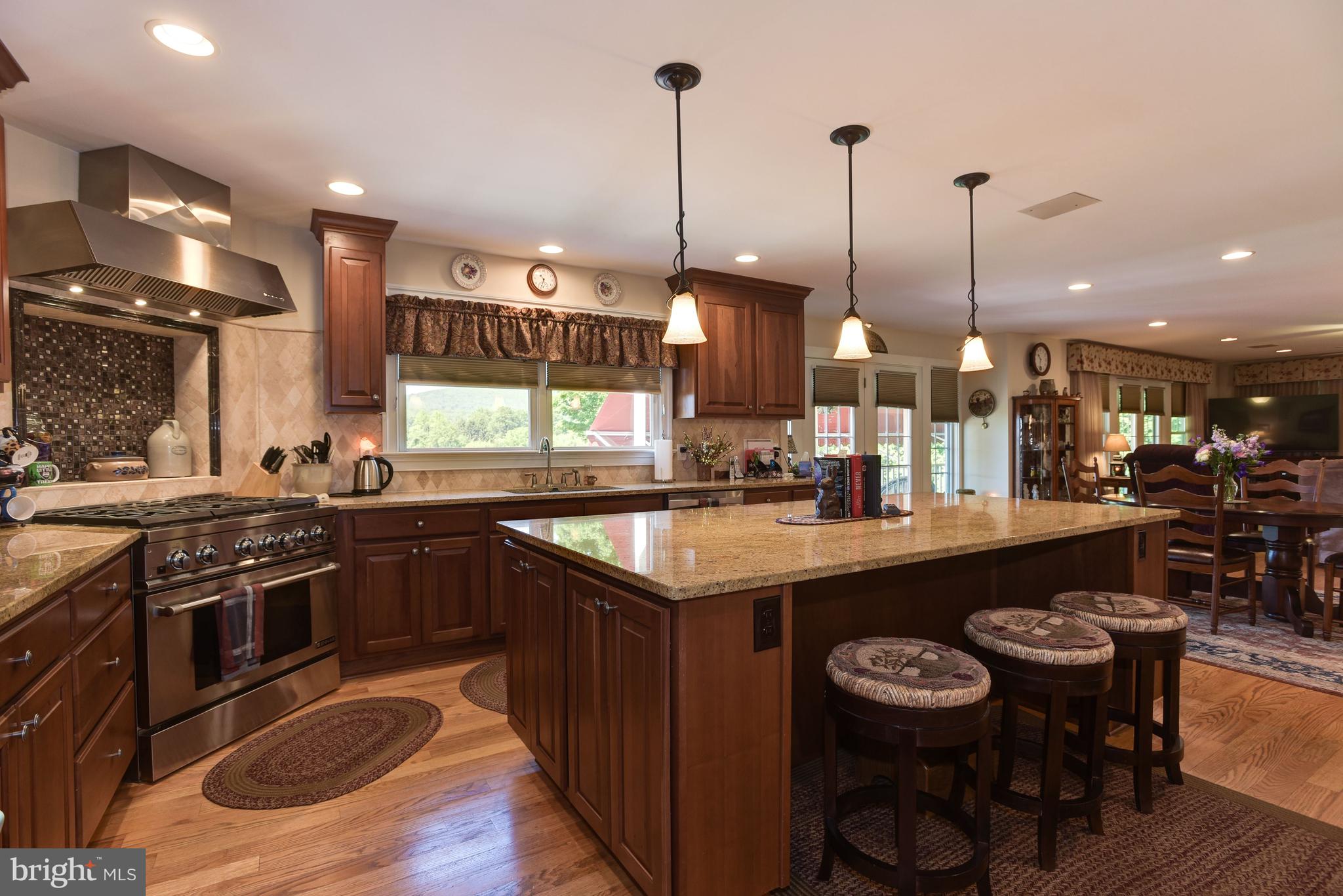 8818 Yellow Springs Road Frederick, MD 21702 - Photo 9 of 73 Gourmet Eat-In Kitchen
