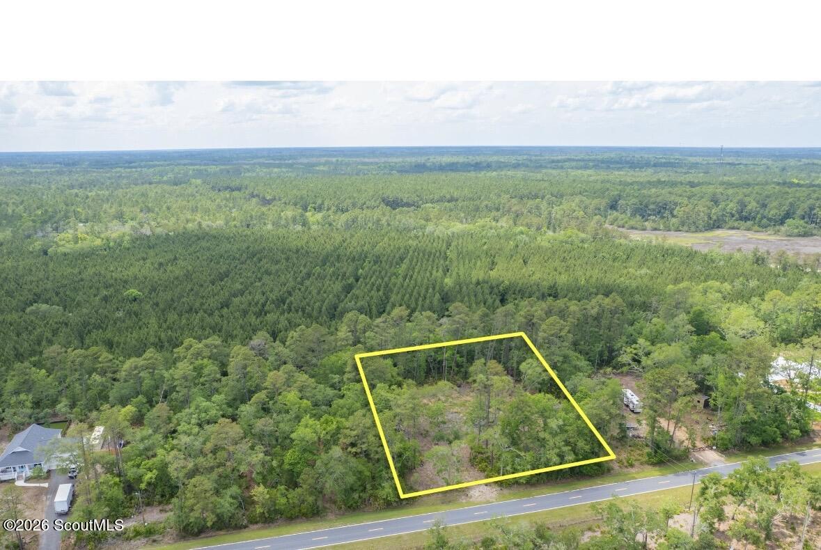 0 Piney Bluff Road Waverly, GA 31565 - Photo 15 of 26 IMG_9114
