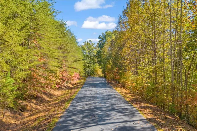 a view of a yard with plants and wooden wall