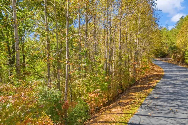 a view of a basket ball ground