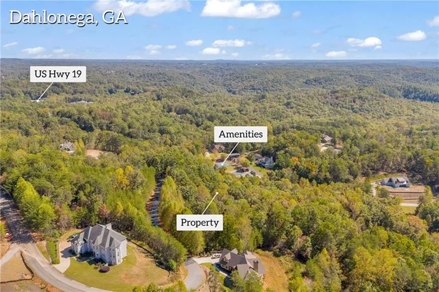 a view of a lake with a mountain in the background