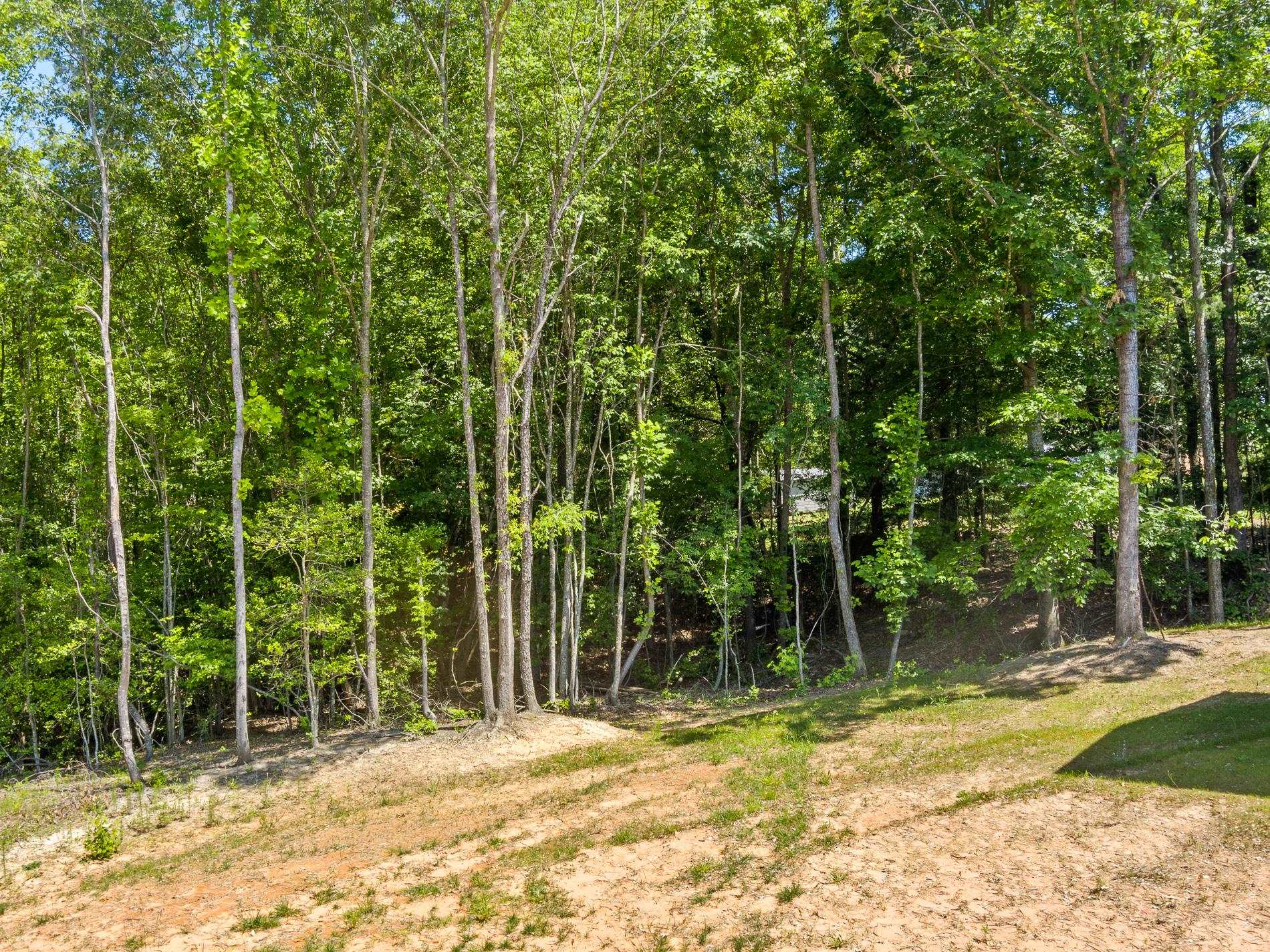 429 Walnut Grove Road Roebuck, SC 29376 - Photo 36 of 36