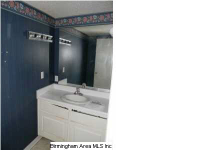 4125 Payne Lake Road Brent, AL 35034 - Photo 5 of 9