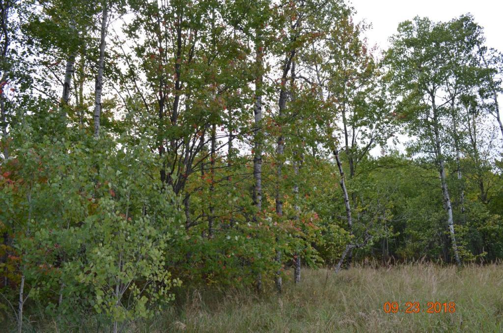 Xxx Trails End Road Bruno, MN 55712 - Photo 1 of 1 Gallery Image 1