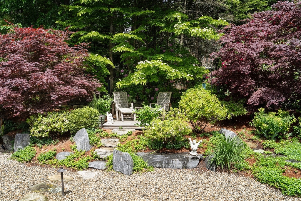 42 Buckman Drive Lexington, MA 02421 - Photo 3 of 39