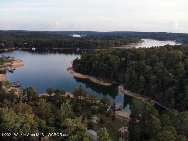 2 Edgewater Bend Arley, AL 35541 - Photo 1 of 5 Gallery Image 1