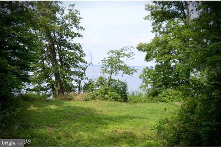 Still Pond Neck Road Worton, MD 21678 - Photo 13 of 13 Exterior (General)