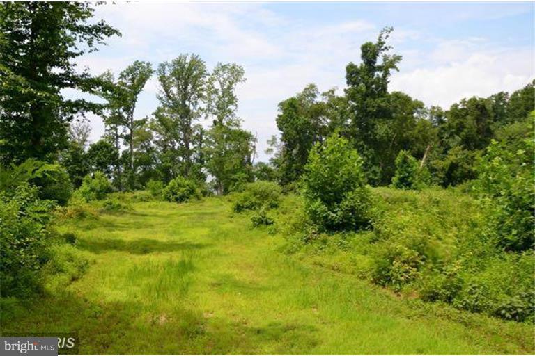 Still Pond Neck Road Worton, MD 21678 - Photo 10 of 13 Home site
