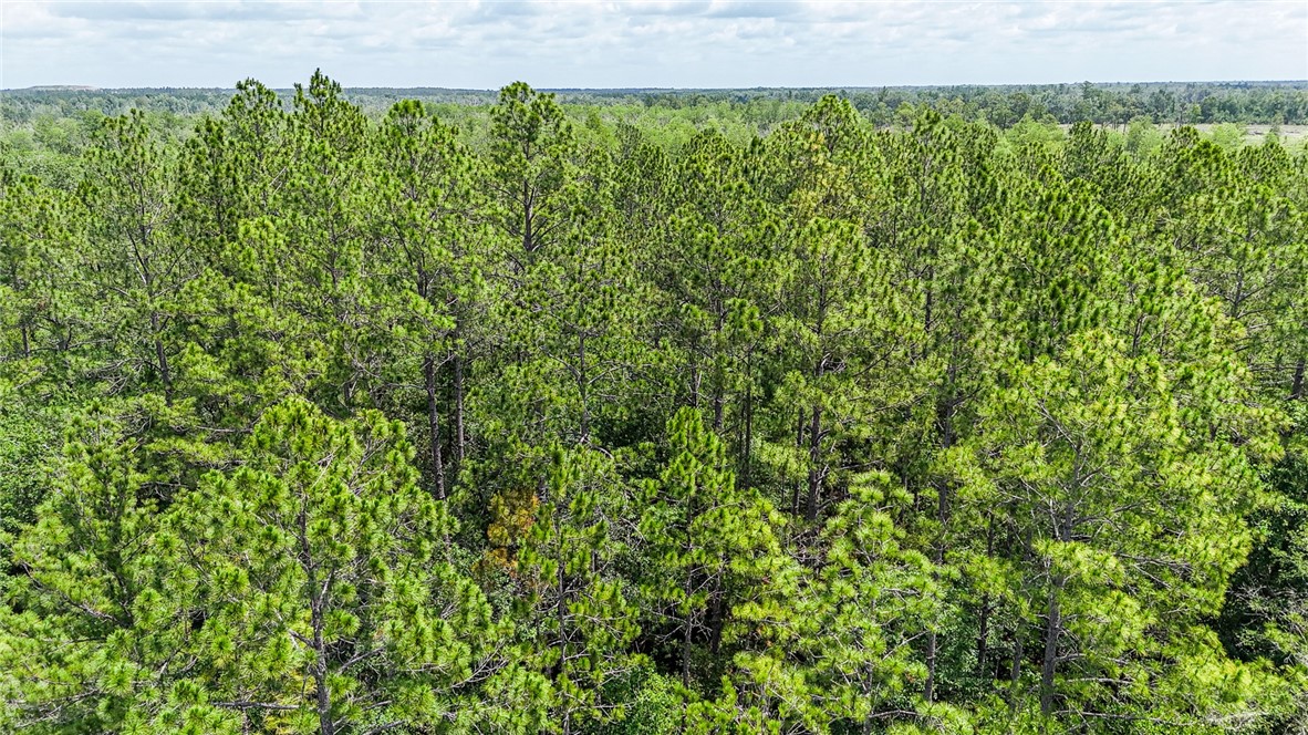 0 Brewton Road Folkston, GA 31537 - Photo 11 of 19