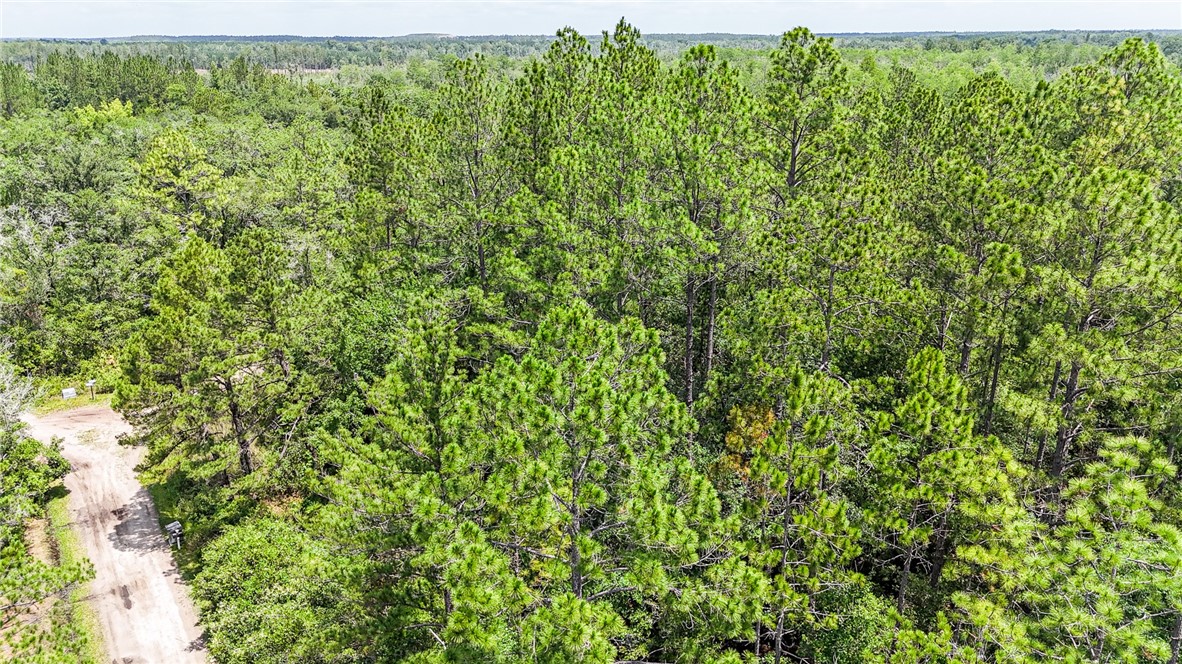 0 Brewton Road Folkston, GA 31537 - Photo 12 of 19