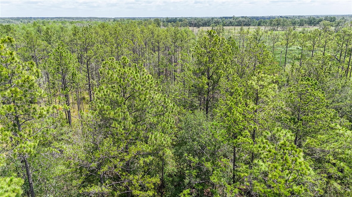 0 Brewton Road Folkston, GA 31537 - Photo 13 of 19