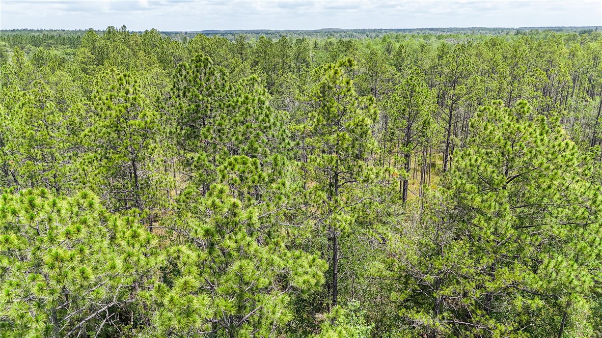 0 Brewton Road Folkston, GA 31537 - Photo 14 of 19