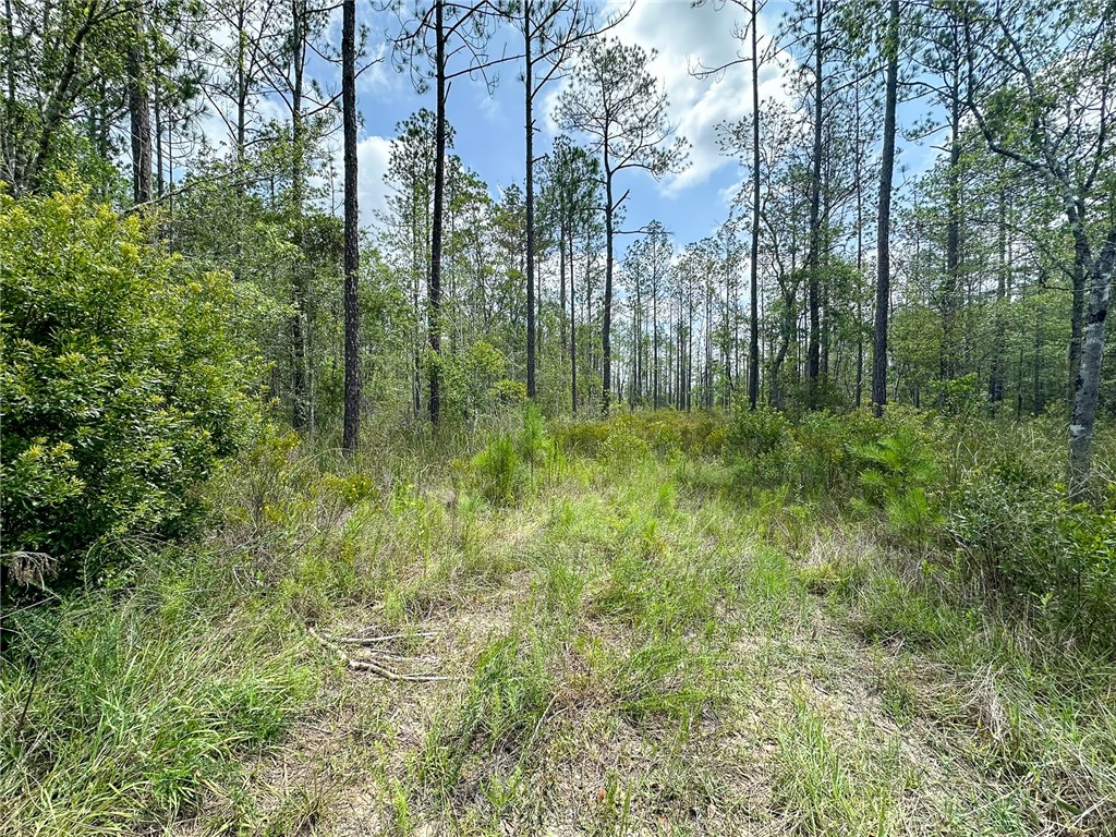 0 Brewton Road Folkston, GA 31537 - Photo 15 of 19