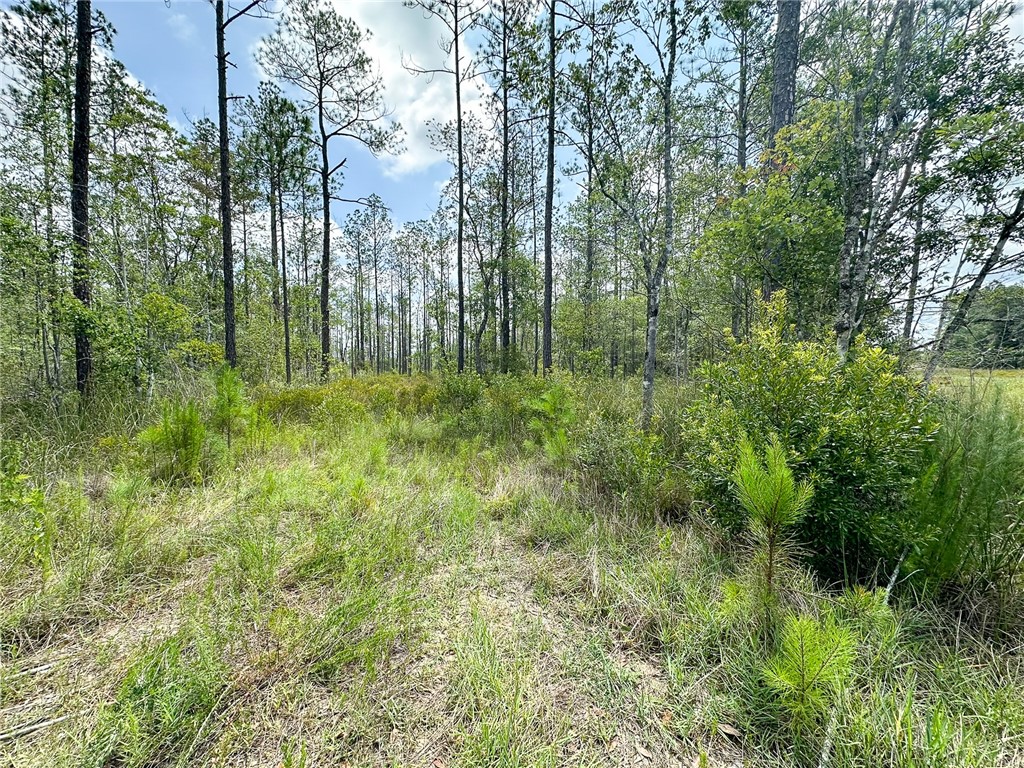 0 Brewton Road Folkston, GA 31537 - Photo 16 of 19