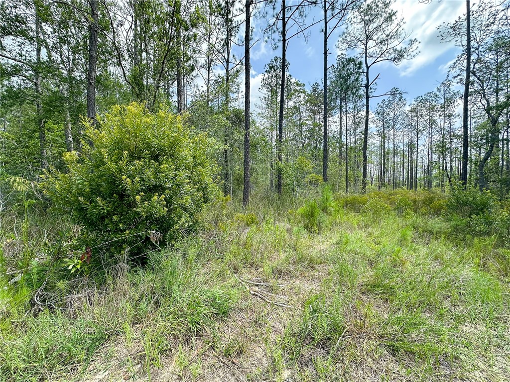 0 Brewton Road Folkston, GA 31537 - Photo 17 of 19