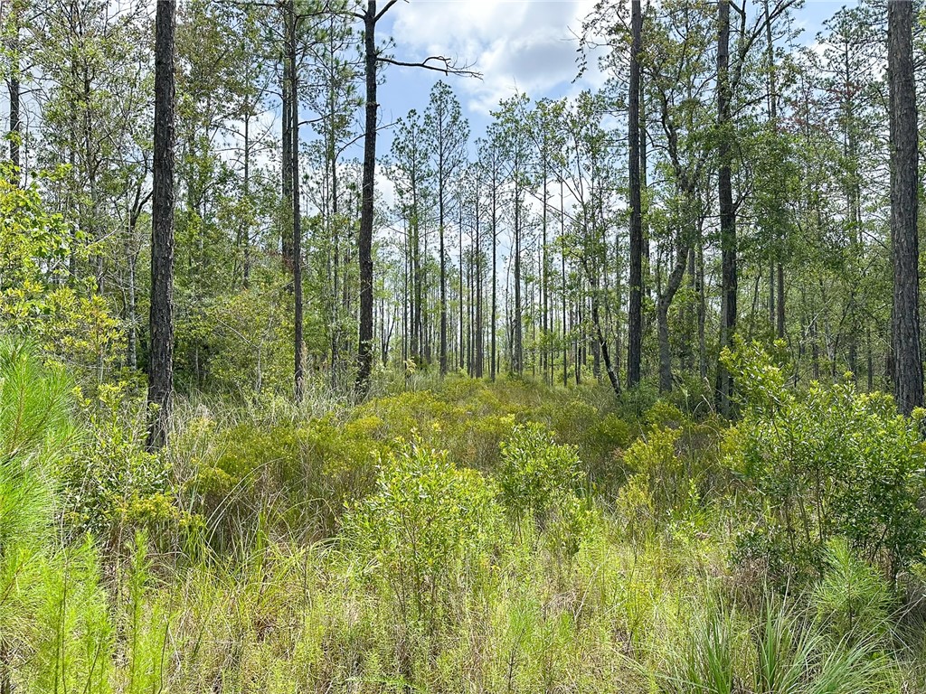 0 Brewton Road Folkston, GA 31537 - Photo 18 of 19