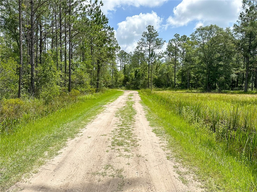 0 Brewton Road Folkston, GA 31537 - Photo 19 of 19