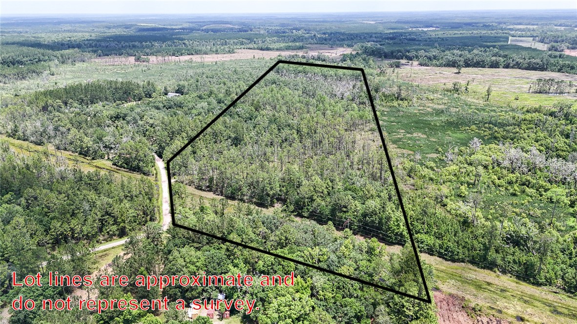 0 Brewton Road Folkston, GA 31537 - Photo 4 of 19