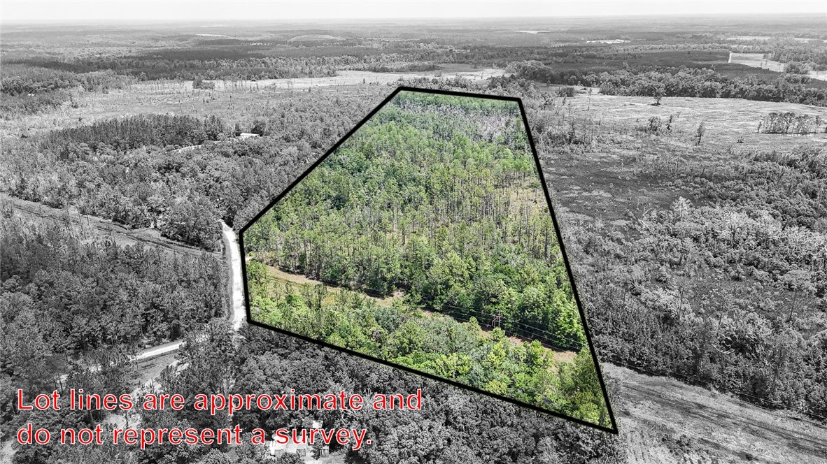 0 Brewton Road Folkston, GA 31537 - Photo 5 of 19