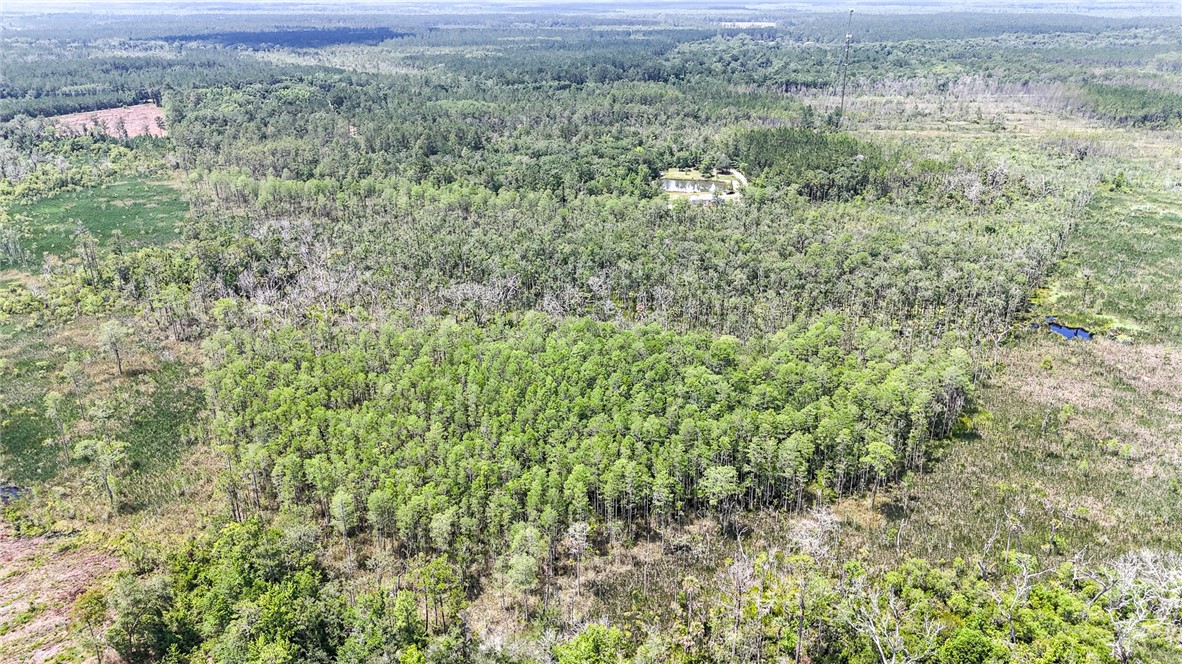0 Brewton Road Folkston, GA 31537 - Photo 7 of 19