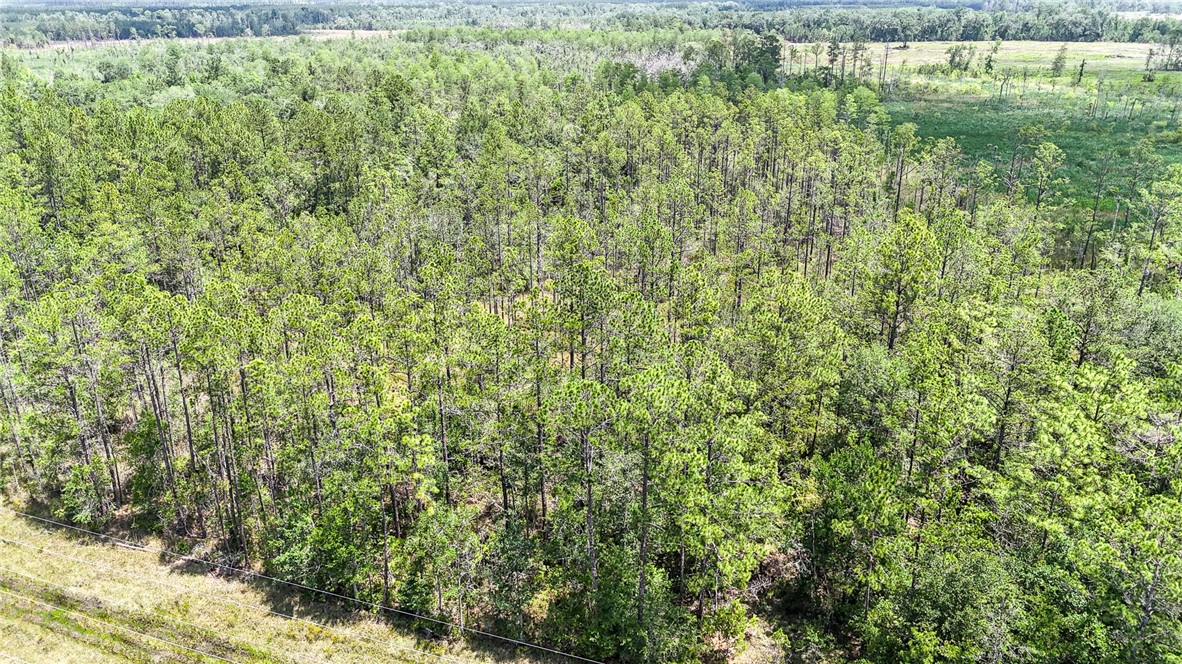 0 Brewton Road Folkston, GA 31537 - Photo 8 of 19