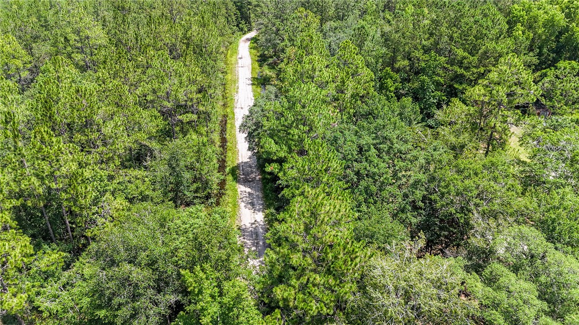 0 Brewton Road Folkston, GA 31537 - Photo 9 of 19